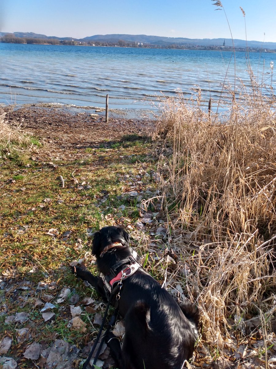 Lake of Constance ❤️