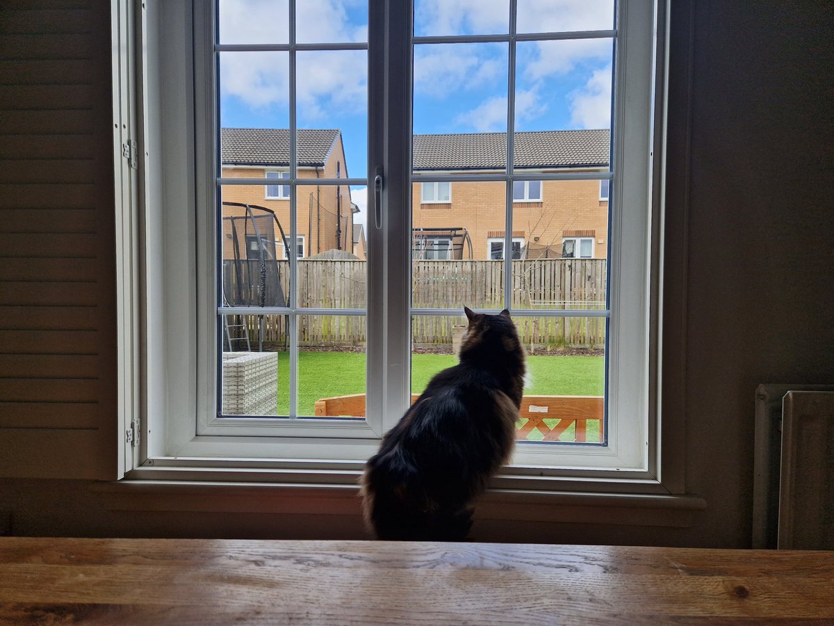 moyas's tweet photo. Bright day in Bishy with Bella Boo. #spring https://t.co/JAvEKautFk