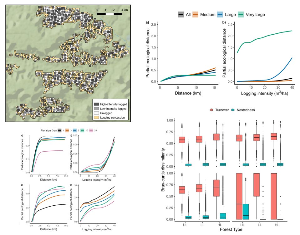 🐾Carlos Peres🐾 (@carlosperes_) on Twitter photo Does #timberextraction affect #tree beta-diversity in tropical forests? Paper led by <a href="/c_bousfield/">Chris Bousfield</a> based on >155,000 indiv-mapped trees ≥35cm DBH (377 spp) in >3,100 ha of Amazonian forest in a wide (0 - 40 m3/ha) gradient of logging intensity doi.org/10.1111/1365-2… <a href="/UEAResearch/">UEA Research</a> Does #timberextraction affect #tree beta-diversity in tropical forests? Paper led by <a href="/c_bousfield/">Chris Bousfield</a> based on >155,000 indiv-mapped trees ≥35cm DBH (377 spp) in >3,100 ha of Amazonian forest in a wide (0 - 40 m3/ha) gradient of logging intensity doi.org/10.1111/1365-2… <a href="/UEAResearch/">UEA Research</a>