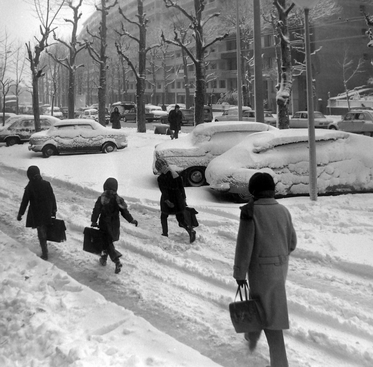Le_Progres's tweet photo. 📷 Avril 1973 | Il y a tout juste 50 ans, la ville de Saint-Étienne s'était réveillée sous un épais manteau blanc 😳🌨️ https://t.co/Eqm5ohs1k7