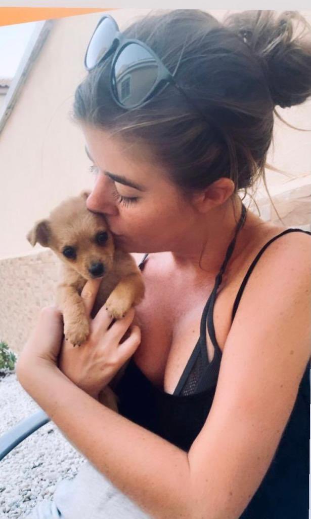 Vicki Michelle MBE ๐ (@vickimichelle) on Twitter photo Itโs National Pet Month. Lovely photo of my Louise with one of the puppies they rescued in Spain. She drove there to save 40 dogs that were strays or going to be put down. They all have lovely homes now. So proud. <a href="/aadogrescue/">aa dog rescue</a> <a href="/little_loubas/">Louise Michelle</a> #NationalPetMonth #TuesdayFeeling Itโs National Pet Month. Lovely photo of my Louise with one of the puppies they rescued in Spain. She drove there to save 40 dogs that were strays or going to be put down. They all have lovely homes now. So proud. <a href="/aadogrescue/">aa dog rescue</a> <a href="/little_loubas/">Louise Michelle</a> #NationalPetMonth #TuesdayFeeling