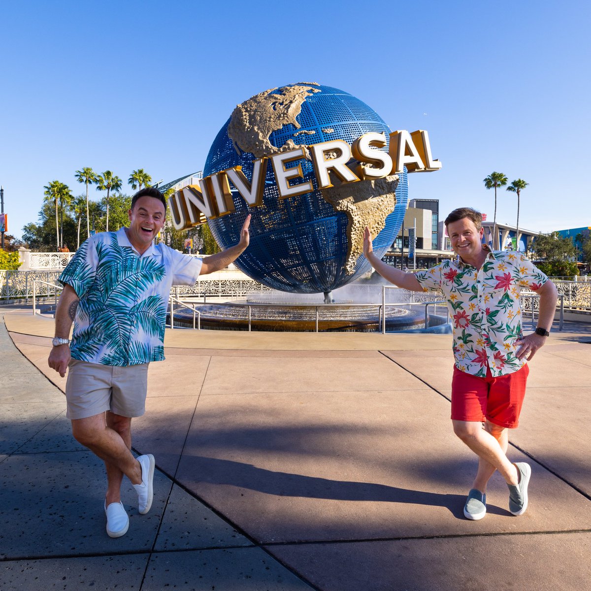 antanddec tweet media