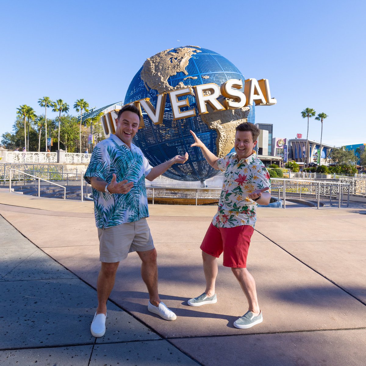 antanddec tweet media