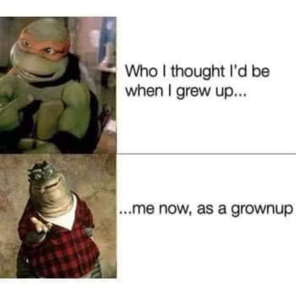 #truestory - I wish I was making this up but this is likely the most accurate pop culture comparison of my life… and I totally love where I am.
.
#tmnt #ninja #dinosaurs #jimhenson #puppet #animatronics #dad #dadlife #dadjokes #dadbod #dads #dadsofinstagram