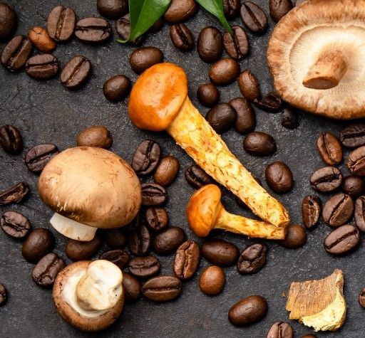 _coffeeguru_'s tweet photo. What is Mushroom Coffee? Learn About the Benefits and More!: https://t.co/tZH32ByIiT
#Coffeelovers #Coffeetwitter #Coffeebreak #Mushrooms #Coffee #Mushroomcoffee #DrinkingMushroomCoffee #LocalGroceryStore #DrinkingCoffee https://t.co/JNIkiqCsFs