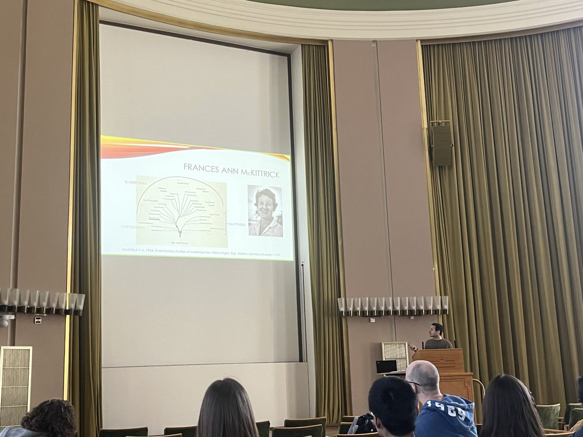 Great talk on cockroach phylogenies with @FredLeg10 talking about the importance of Museum specimens, morphological characters and fossil data #ICBR