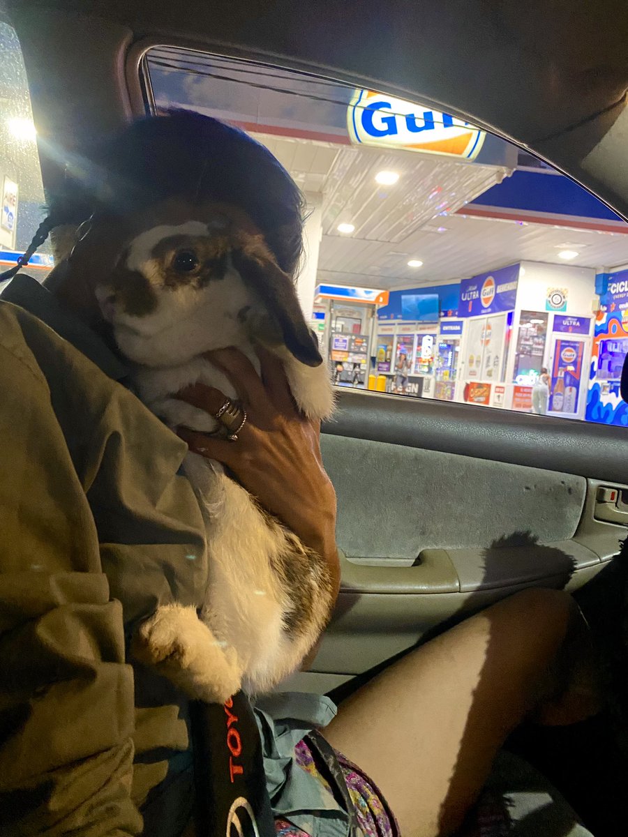 ✨🐣ChickTera.ETH🐥✨ tweet media