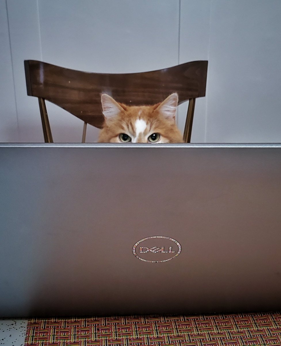 Droi Media tweet media