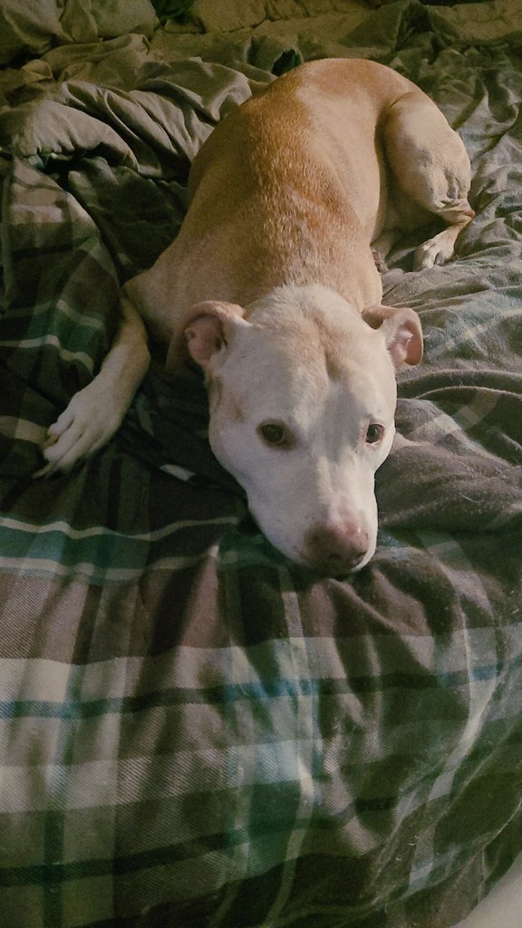 @AntConservativ3 <a href="/BrendonLeslie/">Brendon Leslie</a>