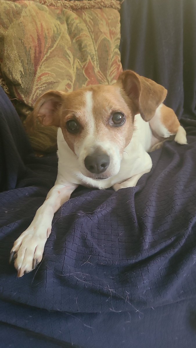 @AntConservativ3 <a href="/BrendonLeslie/">Brendon Leslie</a>