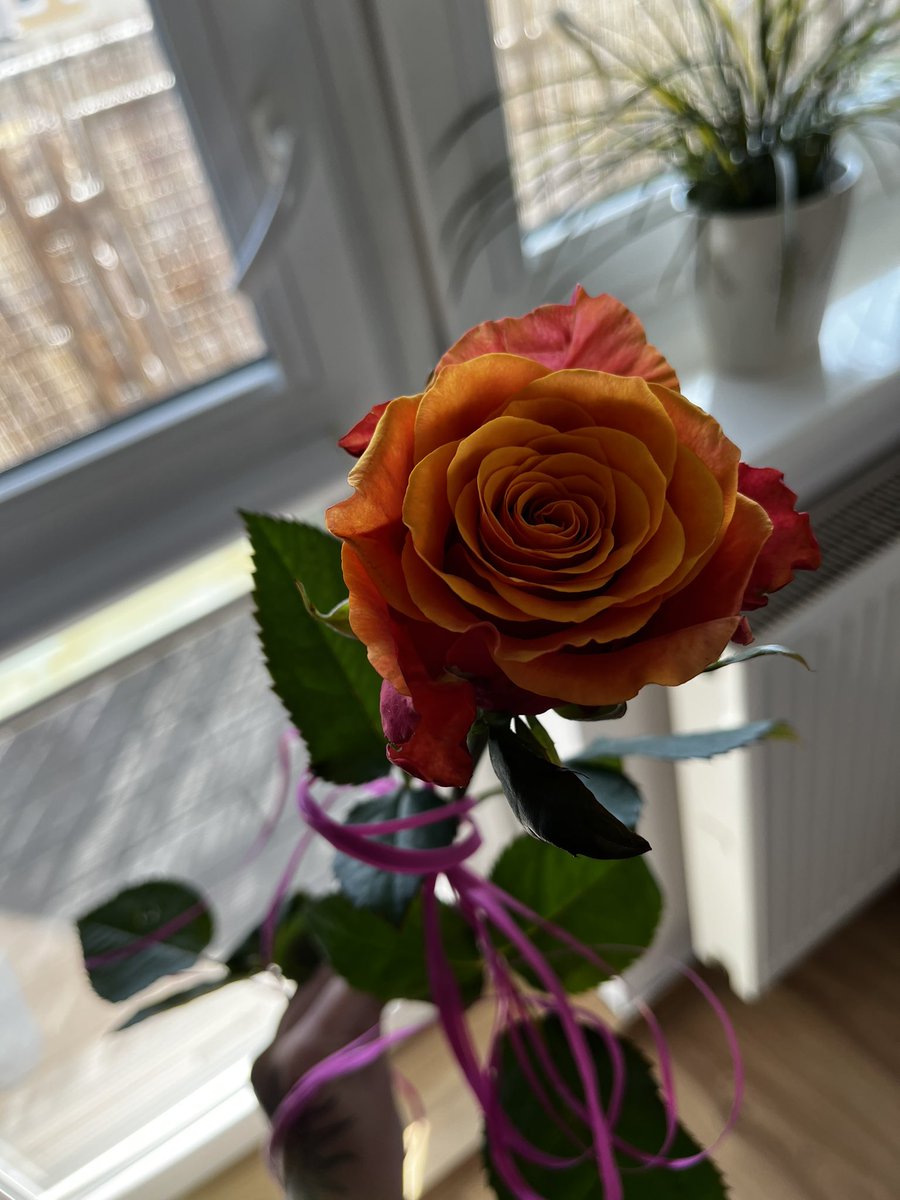 punkychan_'s tweet photo. What a girl wants 🥰🥰 https://t.co/mV2qQmOYXL
