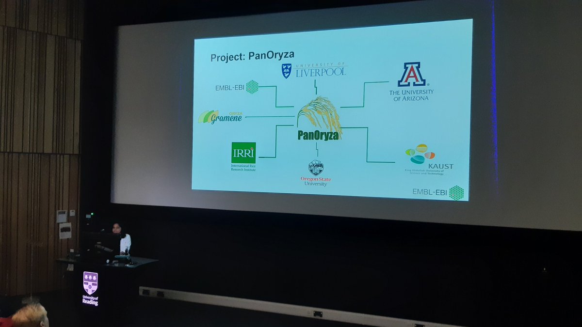 CathPlantSci's tweet photo. @ensembl plants is collaborating to unify gene annotations in the rice pangenome & create great resources for future research #Bioinformatics #Monogram2023 @GNaamati https://t.co/7XnXoRKNen