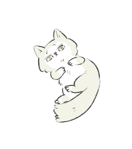 ツイート予約設定したのに
障害で結局手動ツイートした時の
虚無顔とびにゃん https://t.co/K3vX4kiwPZ