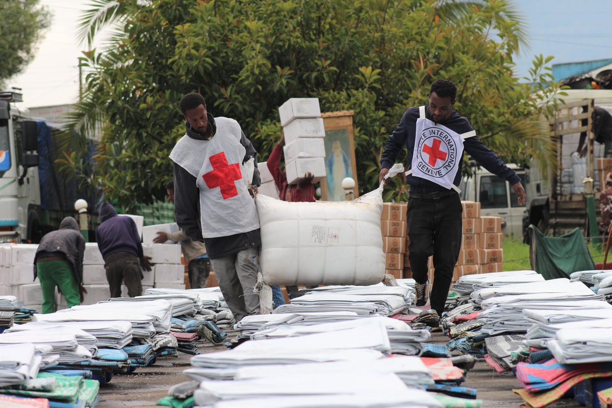Sweden in Ethiopia & AU tweet media