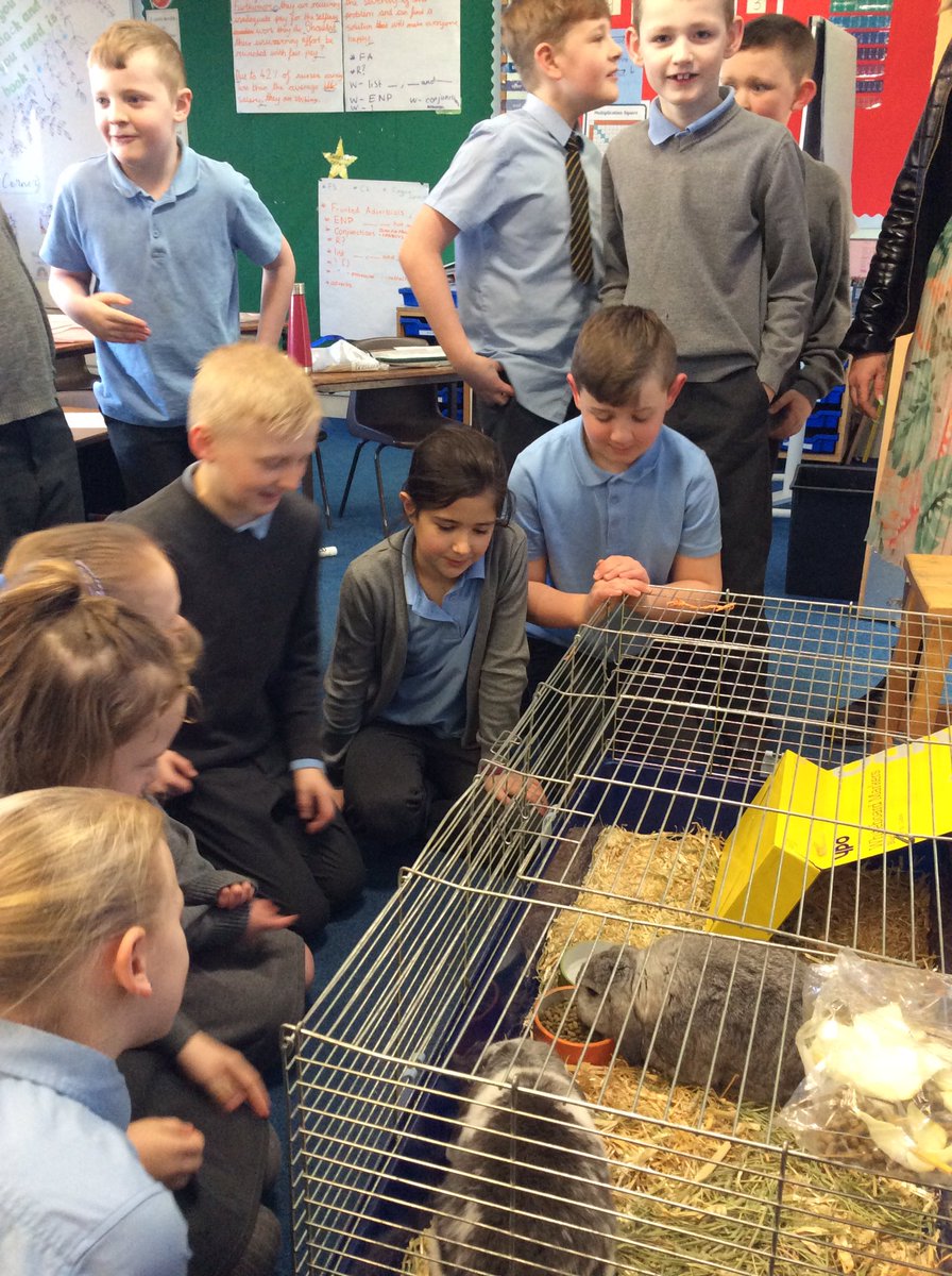 stbenedictswcps's tweet photo. We loved having 2 fluffy visitors in class today! https://t.co/tw4WrzLk7L