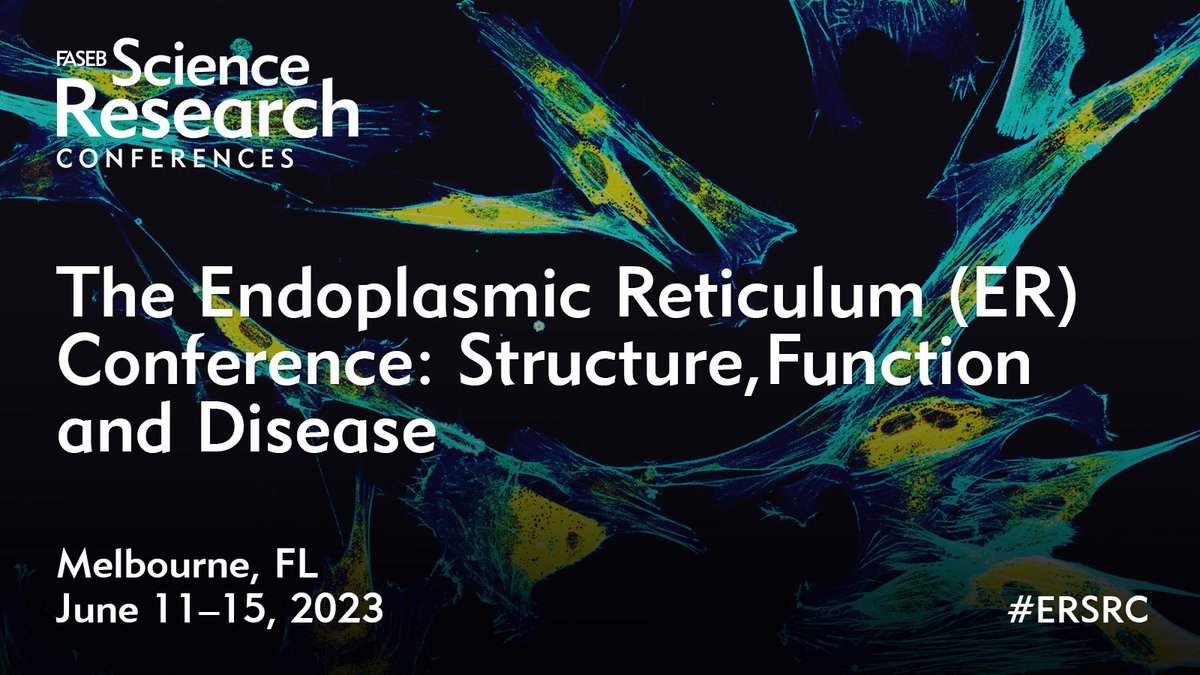 There's still time to submit your abstract for the FASEB Summer Research Conference by the April 9th deadline! The Endoplasmic Reticulum Conference: Structure, Function and Disease will occur in Melbourne, FL, in June of this year. #ERSRC Learn more: ow.ly/z1YG50NlqNF