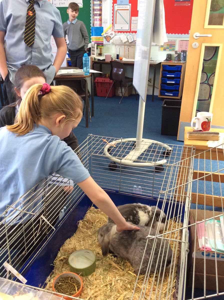 stbenedictswcps's tweet photo. We loved having 2 fluffy visitors in class today! https://t.co/tw4WrzLk7L