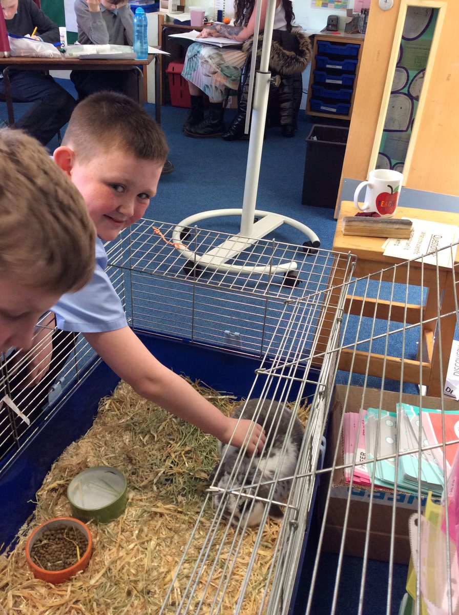 stbenedictswcps's tweet photo. We loved having 2 fluffy visitors in class today! https://t.co/tw4WrzLk7L
