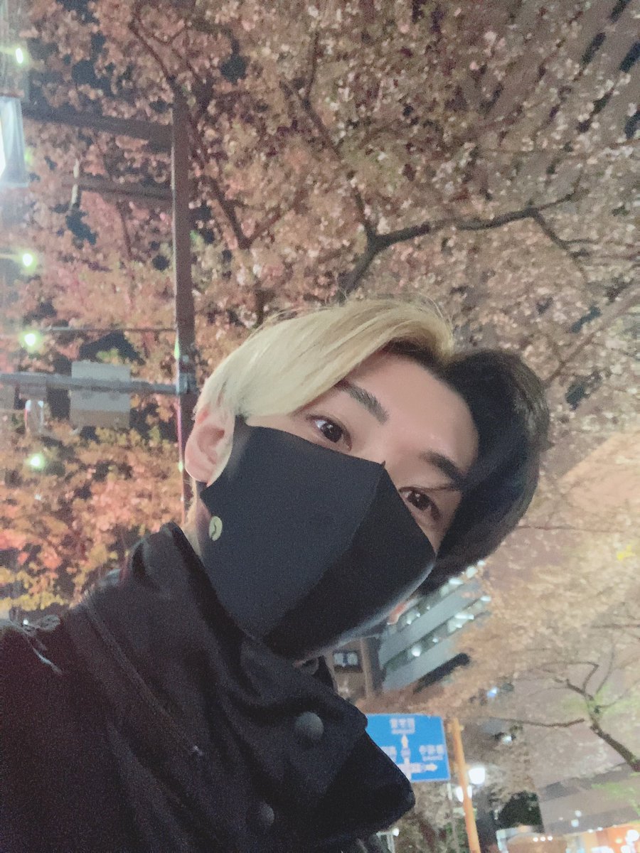 hikaru_casalert's tweet photo. 桜の下で🌸
フォローとリツイートしてる人フォロバしてく！！！ https://t.co/Jy4vcVF5ZT