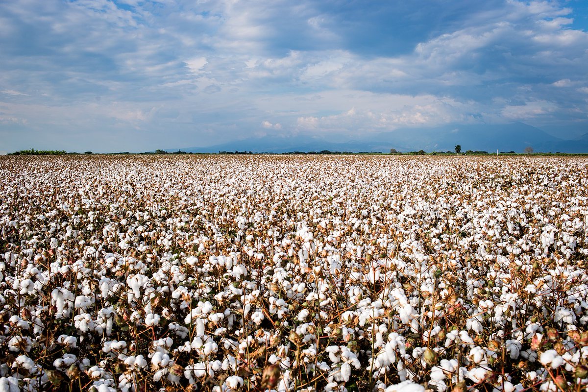 WiseconnEurope's tweet photo. L’#agricoltura è un settore importante per l’economia in #Turchia, dove cresce l’allarme siccità. Grazie al lavoro del nostro dealer Smart Soil, #WiseConnEurope sta facendo conoscere i benefici del sistema brevettato #DropControl che consente di risparmiare #acqua ed energia💧📱 https://t.co/Vtj1rhnaEp