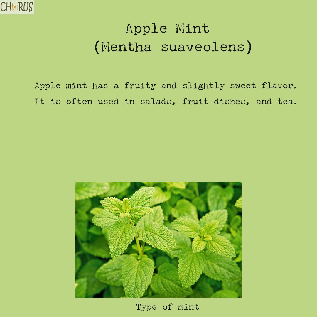 tweChairus's tweet photo. A fruity and slightly sweet flavor, include in your Salad and Tea :)

#ayurveda
#mint #tea #health #healthtips #pepermint #chai #mentalhealthawareness
#mindfulness
#gratitude
#positivity #teatime #AskRavanasura https://t.co/UnoMgSBeqa