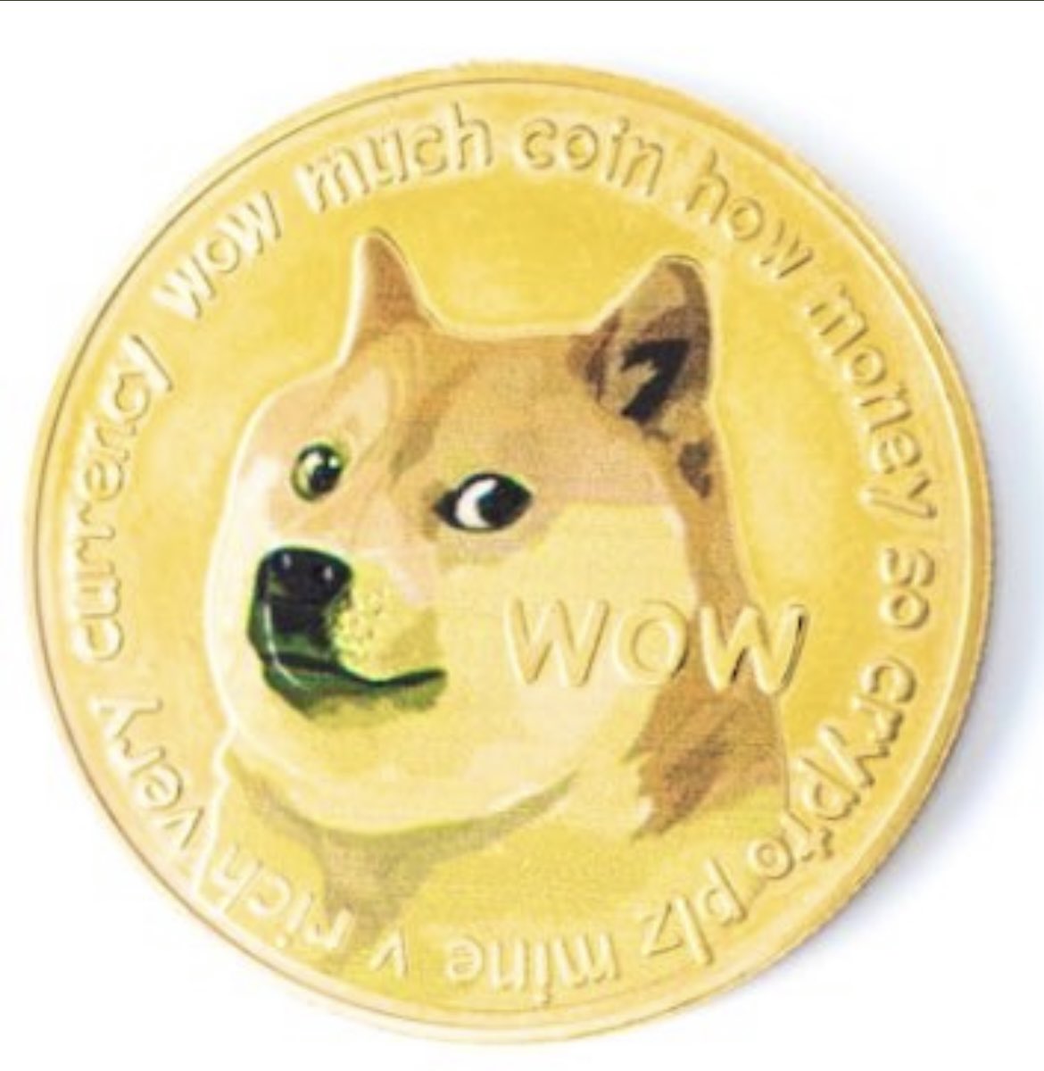 Twitterのアイコン まさか 本当に変えるとは！！！😲 日本で暮らす柴犬の「#かぼす」君 暗号通貨「#ドージコイン」のロゴにも使われていますよね  #Twitterのアイコン #Dogecoin #青い鳥よどこへ行った