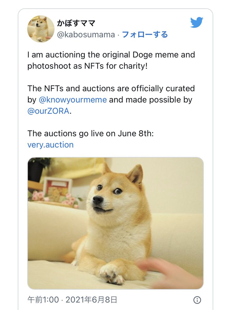 Twitterのアイコン まさか 本当に変えるとは！！！😲 日本で暮らす柴犬の「#かぼす」君 暗号通貨「#ドージコイン」のロゴにも使われていますよね  #Twitterのアイコン #Dogecoin #青い鳥よどこへ行った