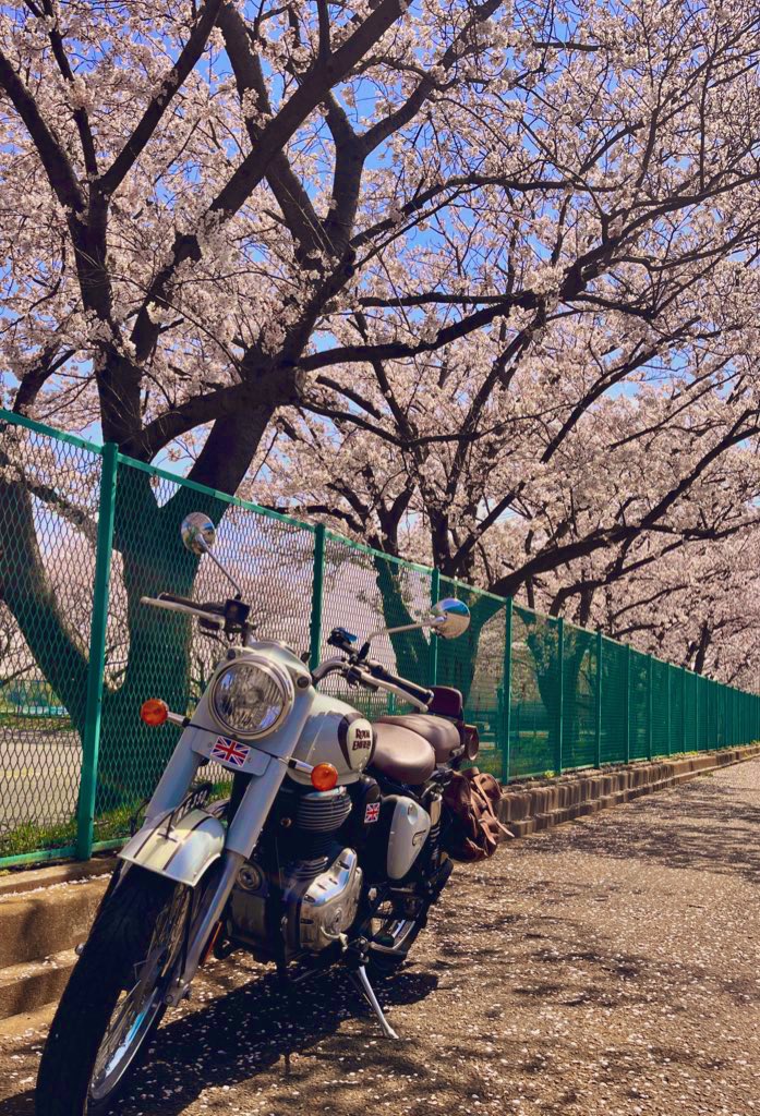 classic__350's tweet photo. 新年度とフォロワーさんが増えたので！

名前:まこ
性別:男
年齢:21
住み:神奈川
身長:169cm
車種: #クラシック350 
好き:野球、ゲーム、バイク
一言:バイク友達欲しい…！

#バイク乗りとして軽く自己紹介 
#バイク乗りと繋がりたい https://t.co/6ACbqIrGSB
