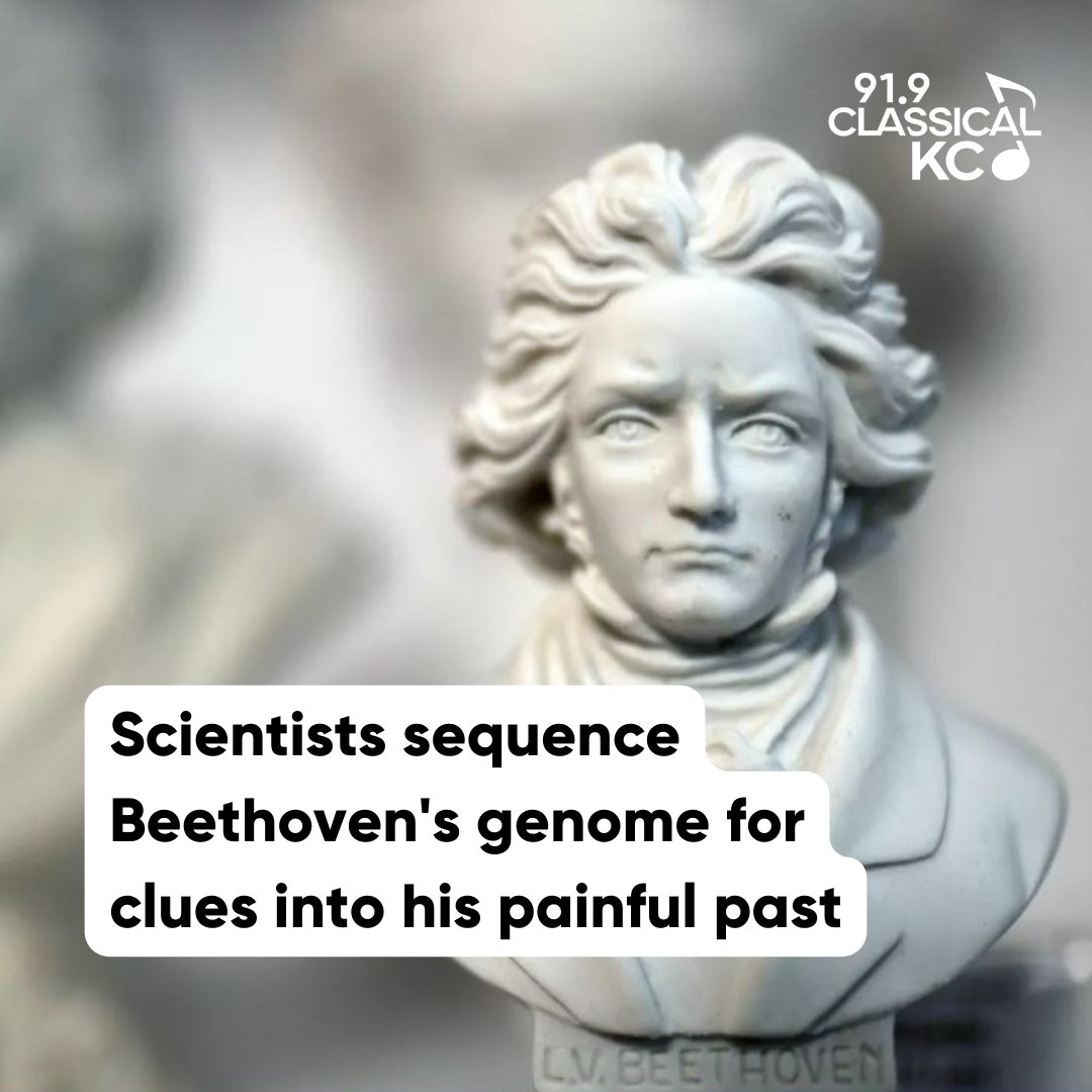 Scientists have sequenced the genome of Ludwig van Beethoven from two-century-old locks of hair, and found clues about the ailments that plagued him in life.

Read more from @npr &gt;&gt; loom.ly/hb_jXEg