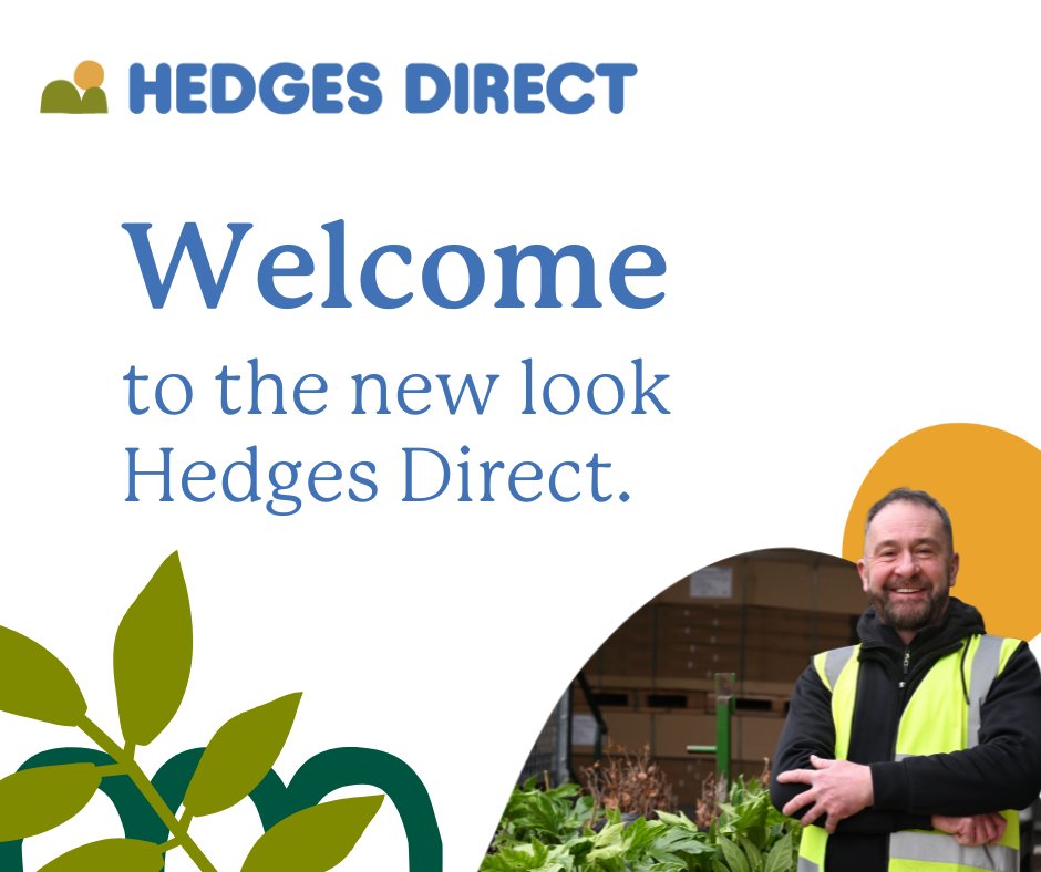 Hedges Direct tweet media