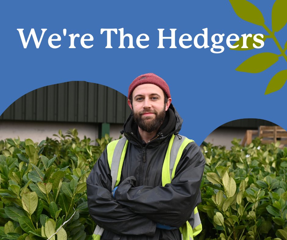 Hedges Direct tweet media