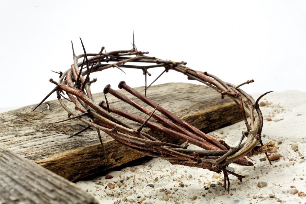Philippians 2:8: "And being found in appearance as a man, he humbled himself by becoming obedient to death— even death on a cross!"