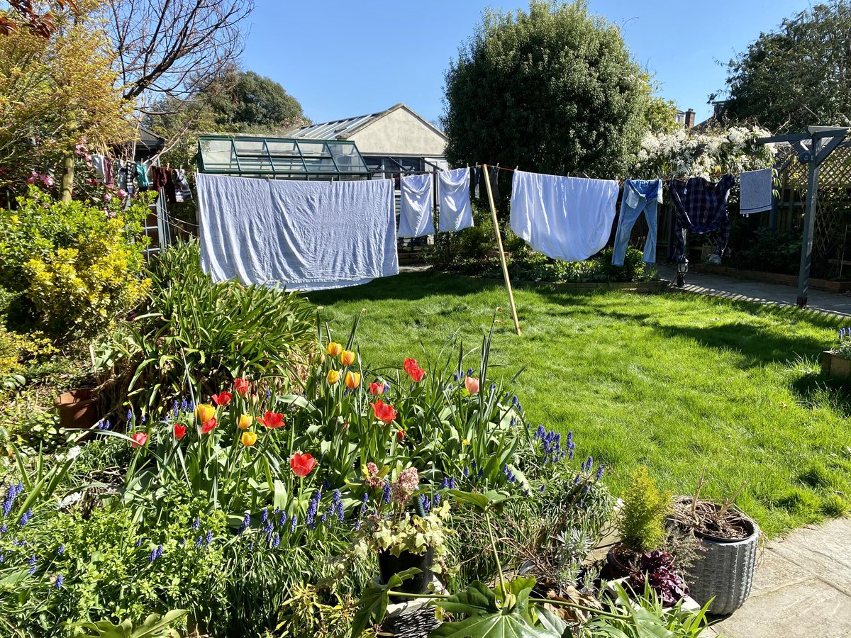 Can’t tell you how happy this makes me. I’ve wanted a washing line for years and now, here she is. In all her glory. Already had a wash load out this morning - this is number 2!! #littlewins