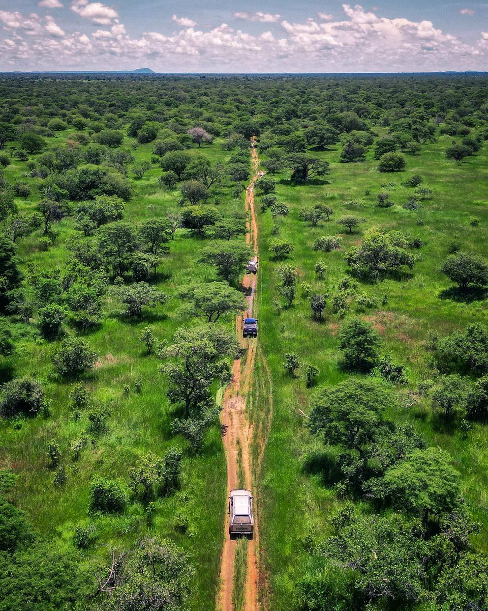 Aerial image of Blue Lagoon National Park nestled on the Kafue Flats. 

Photocred: <a href="/garethvid/">Gareth Vidmar</a>