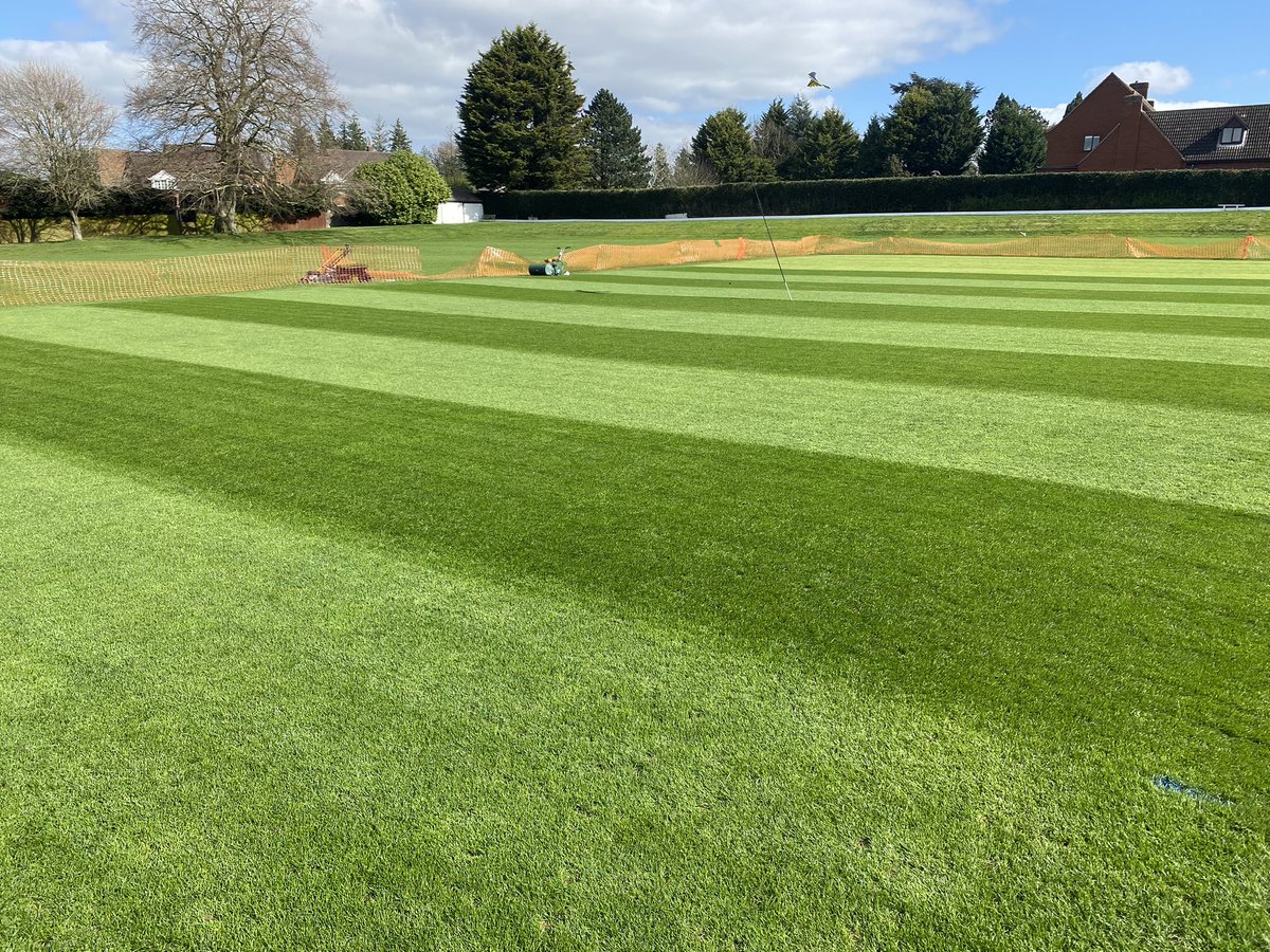 Wellingborough Town CC tweet media