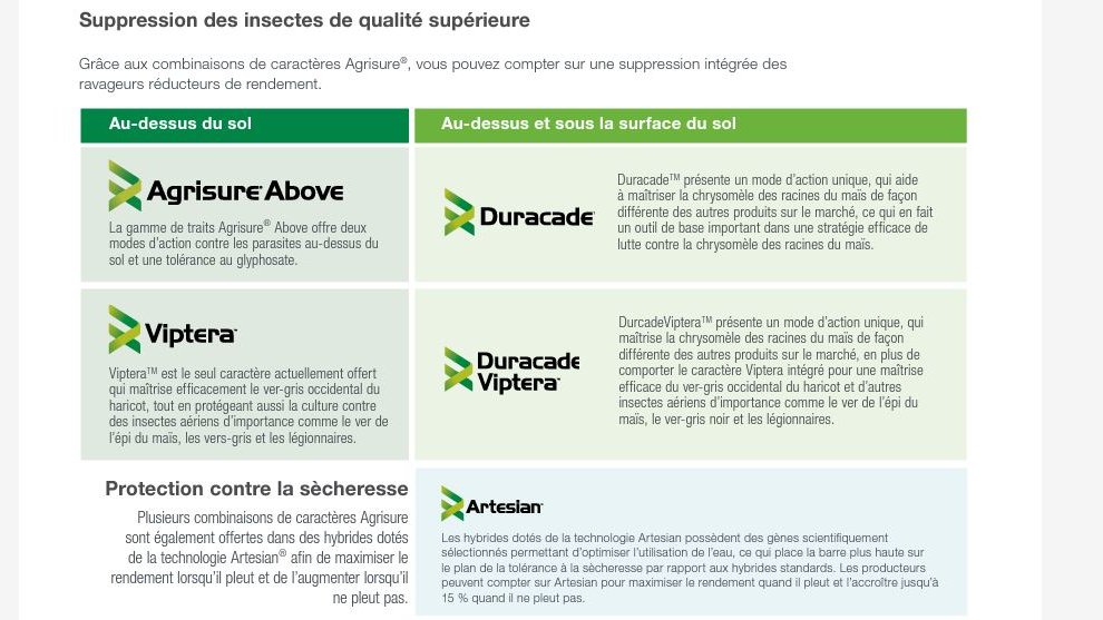 NKSeedsCanada's tweet photo. Saviez-vous que le portefolio de #maïs NK est construit sur la plateforme de traits Agrisure® de @BonjourSyngenta?

Grâce aux combinaisons de caractères Agrisure®, vous pouvez compter sur une suppression intégrée des  ravageurs réducteurs de rendement. https://t.co/ifQBCsPeS1 https://t.co/zoMnynWOUL