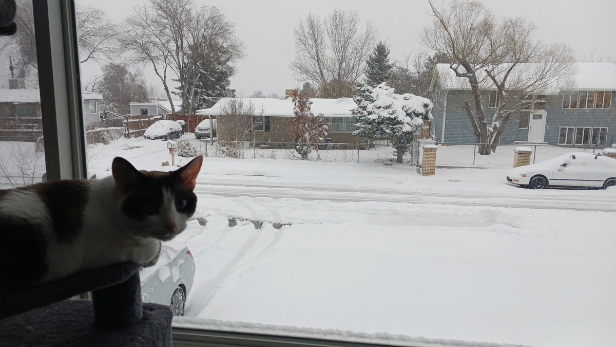 ArliGames's tweet photo. Do you know what that smell is, Jim? That's Spring. #Spring #SpringIsHere https://t.co/hSc7pZRqym
