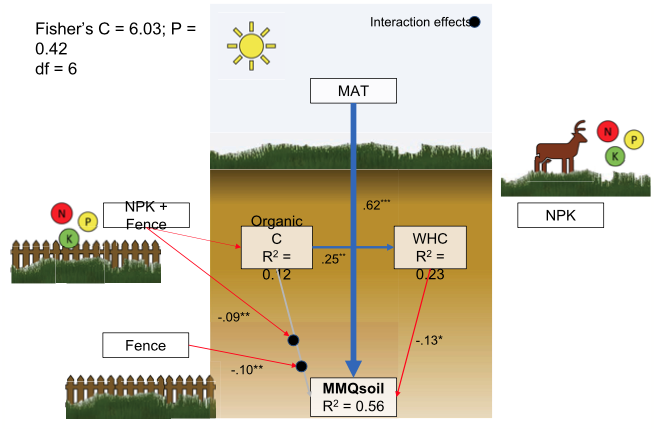 NutNetGlobal's tweet photo. New @NutNetGlobal : Local #soil &amp; #climate conditions determine effects of #nutrients &amp; #herbivores on #microbial #metabolic quotient across global #grasslands via @GEB_macro w/ @AnitaRisch @rochoahueso etal #Carbon #Ecosystems #GlobalChange
https://t.co/J8Hwp8SWmh https://t.co/cdx7K4nW8e