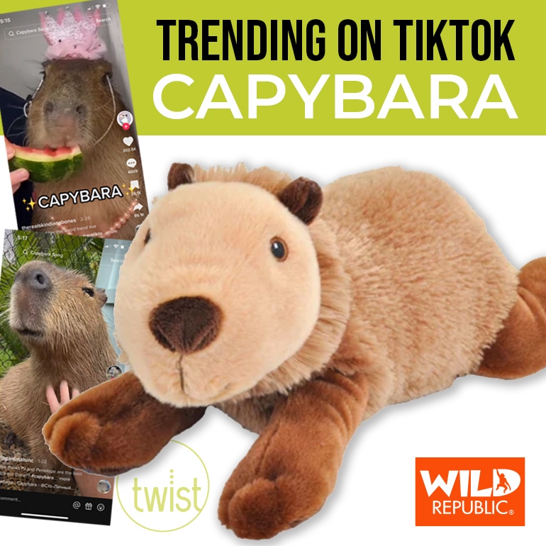 twistsalesinc's tweet photo. WILD REPUBLIC | Capybara’s are trending on TikTok!

👉️ 12” Ecokins 100% recycled is in stock now.
👉️ 12” Cuddlekins  will be in stock early June.

@wild_republic

#twist #twistsales #wholesale #retail #mplsmart #minneapolis #minnesota#giftshop #shoplocal #mplsmart2023 https://t.co/aalj0RwpVy