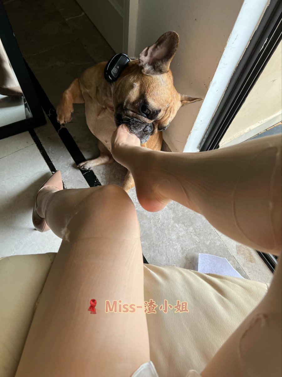 content41117136's tweet photo. 有什么新鲜事 https://t.co/ryr5aY6SaN