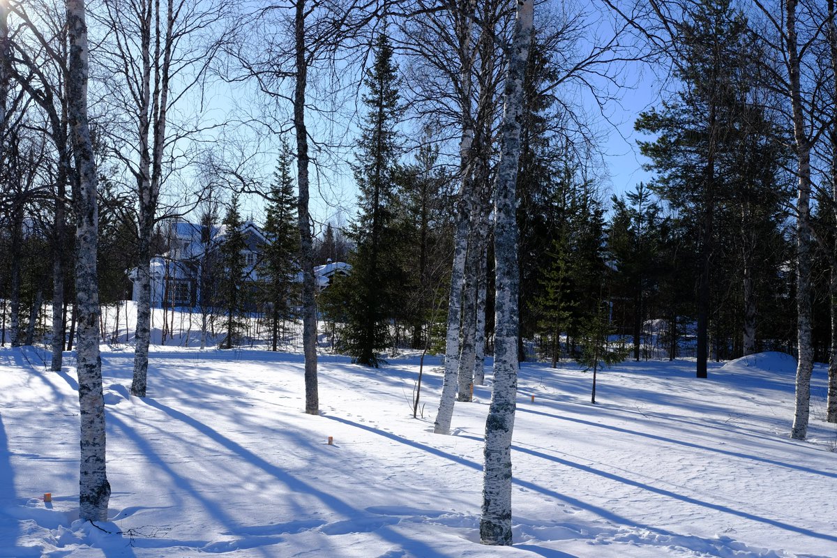 marco_calabria's tweet image. LaPMeeting #LaP2023 Day 2