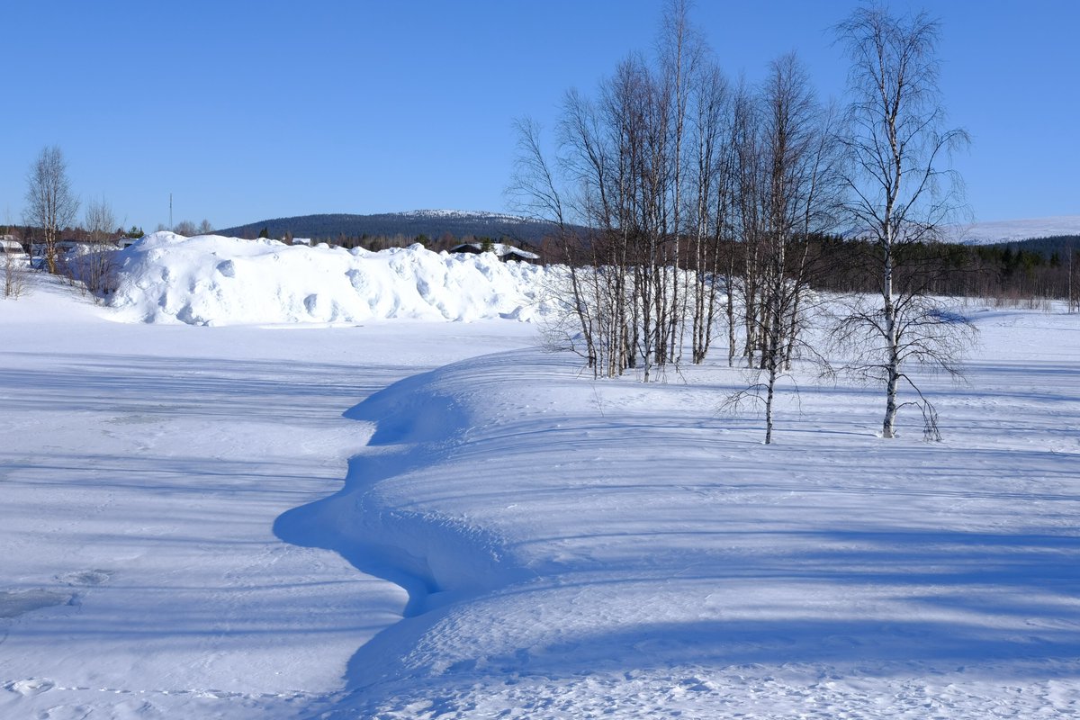 marco_calabria's tweet image. LaPMeeting #LaP2023 Day 2