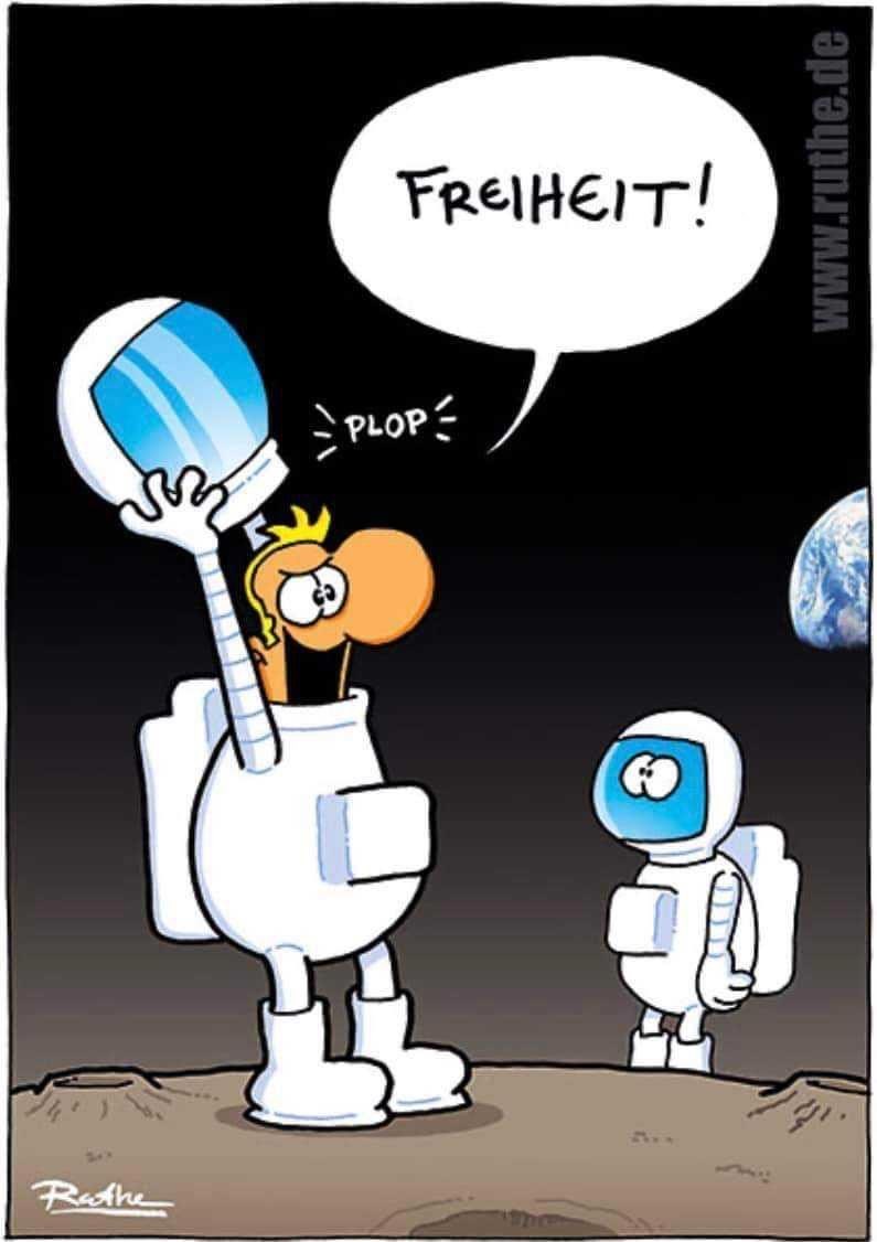 littlewisehen's tweet image. Die @FDP auf dem Mond…