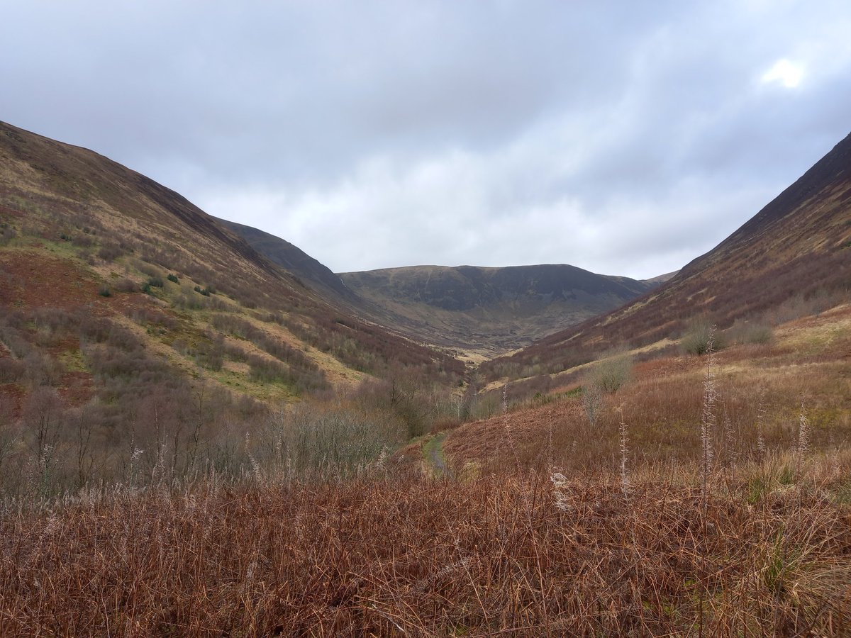 RachelHinds's tweet photo. Fantastic time on the #ExeterRewilding fieldcourse! Learnt a lot, including about various management strategies and processes, got to visit some incredible sites and spot a few new species too :) Huge thank you to @daveinnature, @DaveHodgson00, @StuBearhop and @McIntosh_Aimee! https://t.co/o2O5BPVj5Y