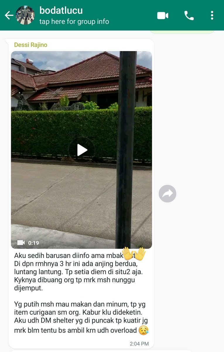 andinnni's tweet photo. Siang-siang dikirimin ibu aku 😔

Help dog lovers area Cinere, ini bisa minta bantuan siapa yaa? Aku gak ada kapasitas buat ambil mereka dan jaraknya lumayan jauh dari rumahku https://t.co/bCq5r0wR1i