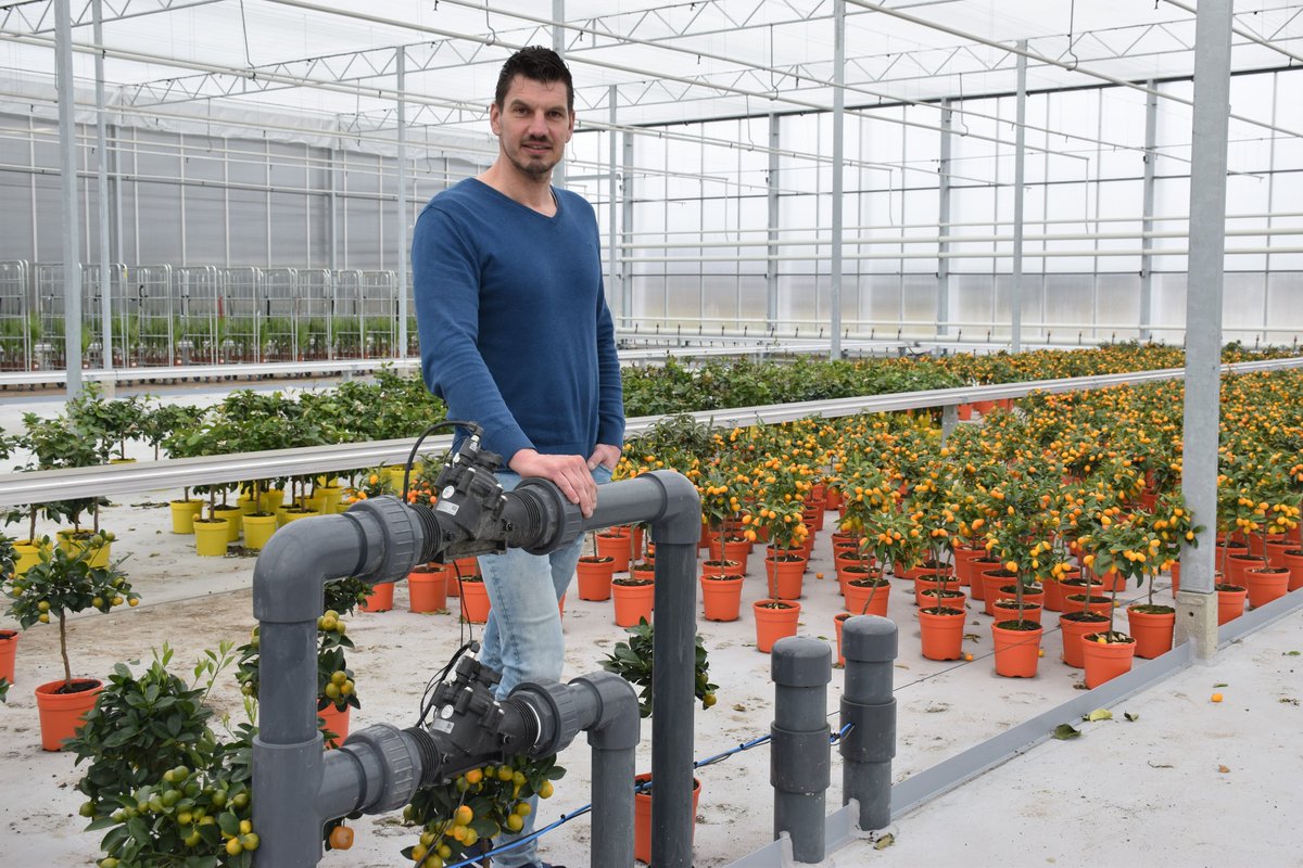In the new construction of <a href="/LuitenKwekerij/">Luiten Kwekerij</a> in Pijnacker, an experienced supplier of Mediterranean tub and patio plants 🍋🌺, our team of <a href="/TechniekMontera/">Montera Techniek</a> recently realised a comprehensive system of water and #electricalinstallations. 🤩 #horticulture #engineering
