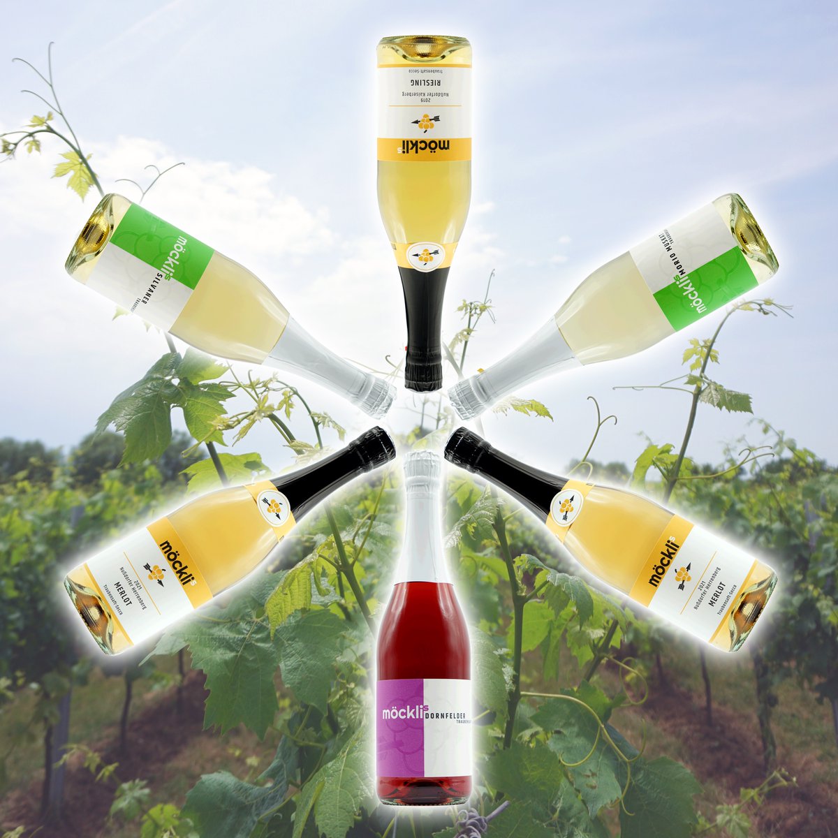 moecklis's tweet photo. Werbung: Lasst uns Korken knallen!

Draußen wird es wärmer und bunter - damit es dazu in Euren Gläsern bunt und prickelnd wird, findet Ihr ab sofort wieder unser “all you can secco”-Paket in unserem Online-Shop.

 => https://t.co/3OSy9I5qdU

#grapejuice #sober #vegan https://t.co/LGRWP3jEXH