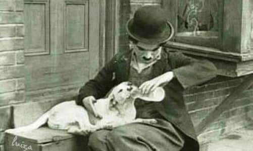 Παγκόσμια ημέρα αδέσποτων ζώων: «Όποιος ταΐζει ένα πεινασμένο ζώο, ταΐζει την ίδια του την ψυχή» 
- Τσάρλι Τσάπλιν
