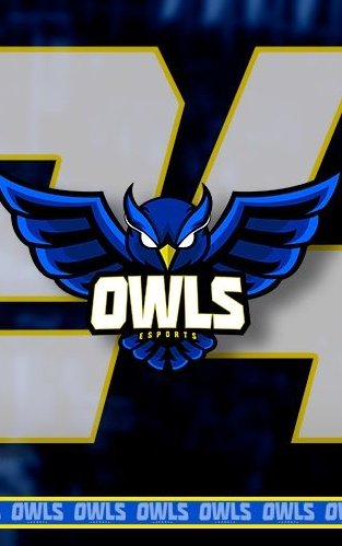 OWLS eSports 🦉🇪🇦 tweet media