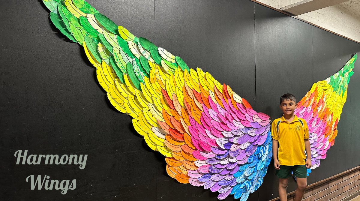 Spread your wings Harcourt to spread harmony and kindness around the world #HarmonyWeek #LoveWhereYouLearn <a href="/janholt07/">Jan Holt</a>